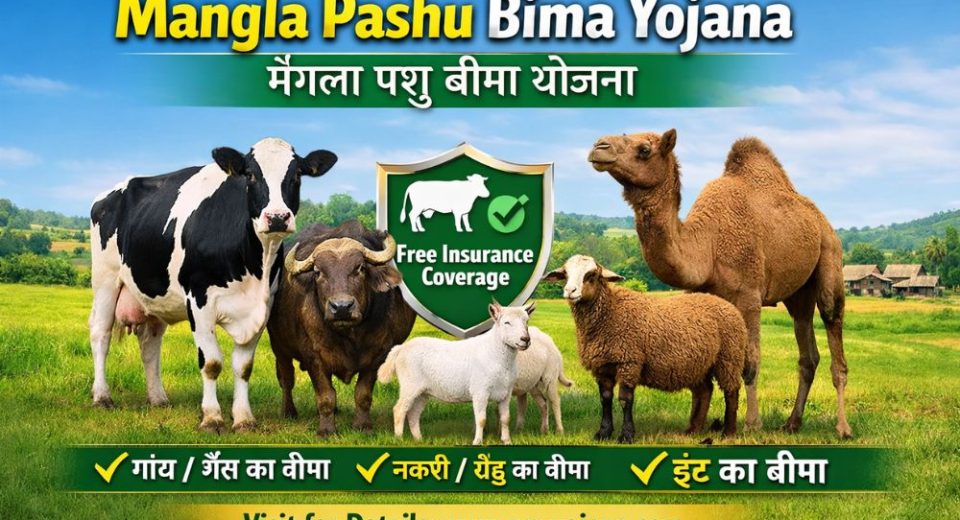 Mangla Pashu Bima Yojana
